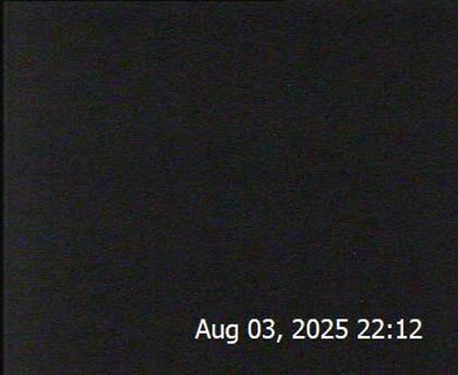 2025-08-04
