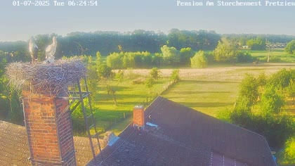 2025-07-01