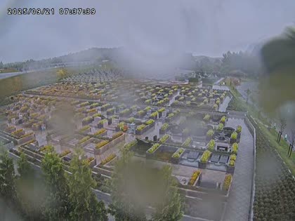 2025-09-21