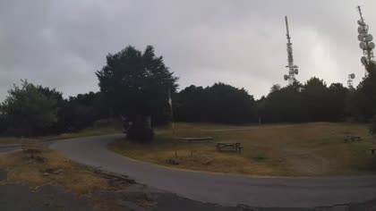 2025-07-06