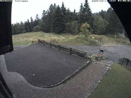 2025-09-11