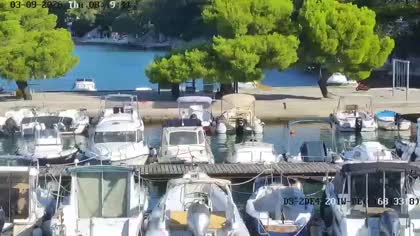2026-09-03