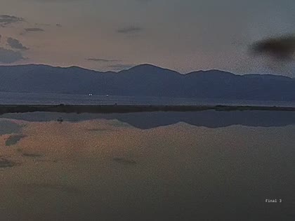 2025-06-12