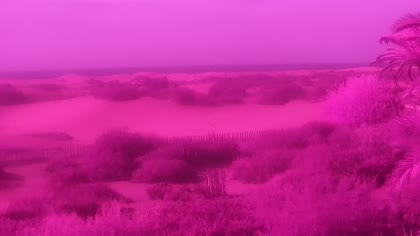 2026-10-15