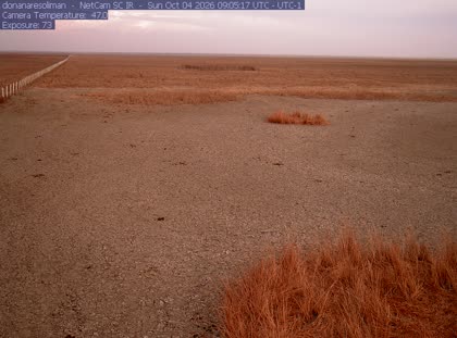 2026-10-04