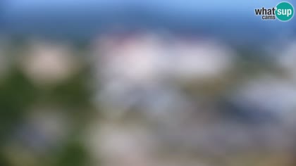 2026-07-06
