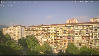 2025-08-02