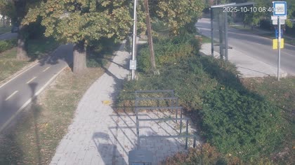 2025-10-10