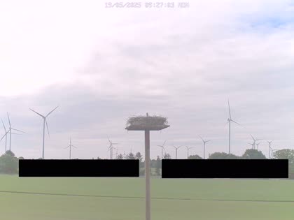 2025-05-19