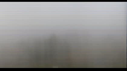 2025-07-07