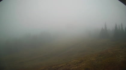 2025-10-12