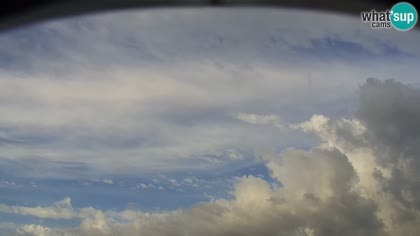 2026-05-15