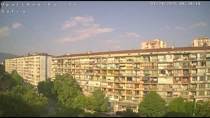 2025-07-24