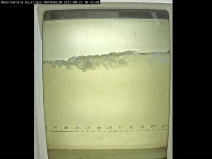 2025-09-26
