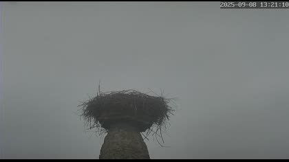 2025-09-08