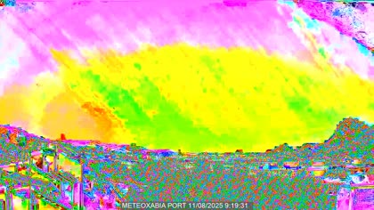 2025-08-11