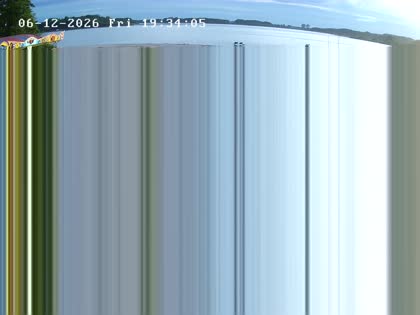 2026-06-12