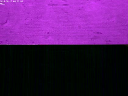 2025-08-13