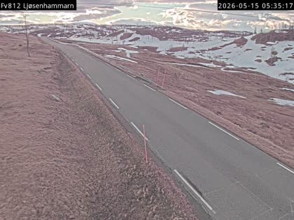 2026-05-15