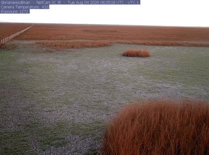 2026-08-04
