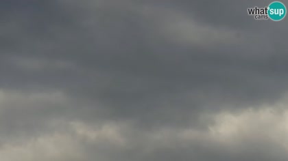 2026-06-03