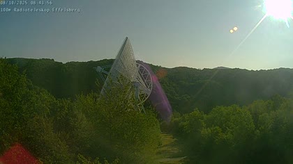 2025-08-10