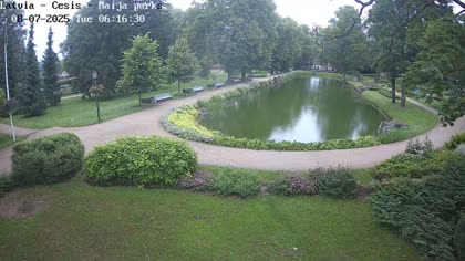 2025-07-08
