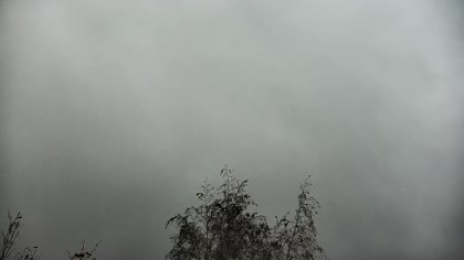 2026-10-10
