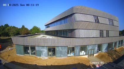 2025-08-10
