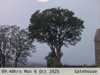 2025-10-06