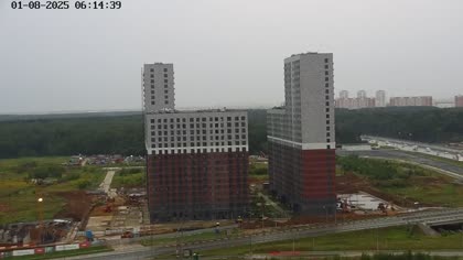 2025-08-01