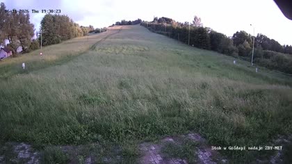 2026-06-11