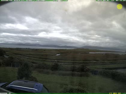 2025-08-01