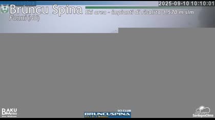 2025-09-10