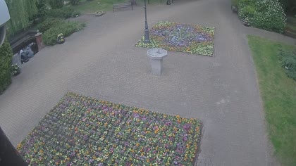 2026-05-08
