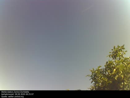 2026-08-08
