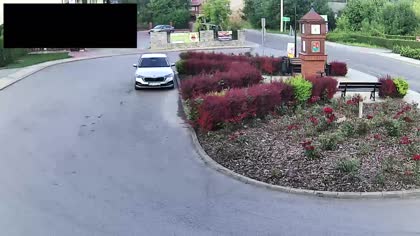 2025-07-29