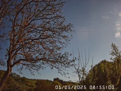2025-05-01