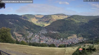 2026-08-19