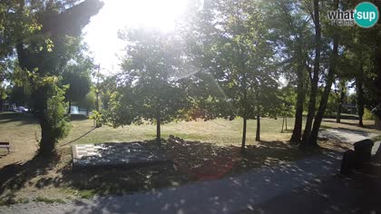 2026-09-06