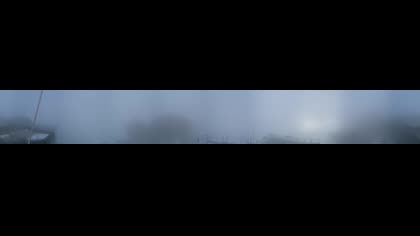 2026-06-15