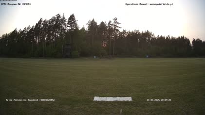 2025-05-31