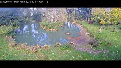 2025-10-05