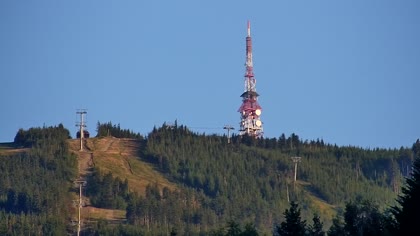 2025-08-11