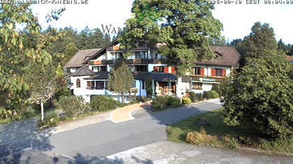 2025-08-10