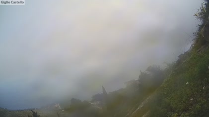 2025-04-20
