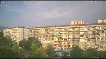2025-08-22