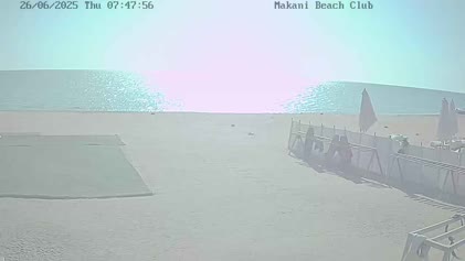 2025-06-26