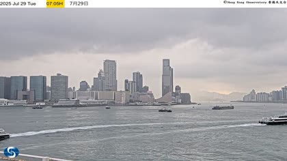 2025-07-29