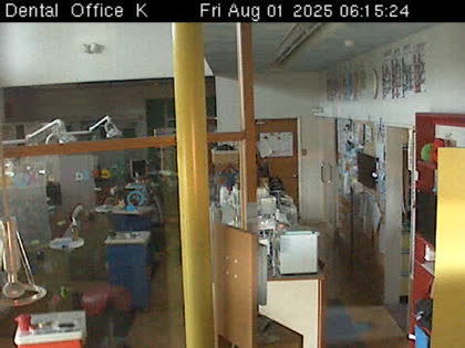 2025-07-31